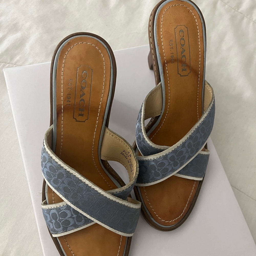 Coach Blue Heels